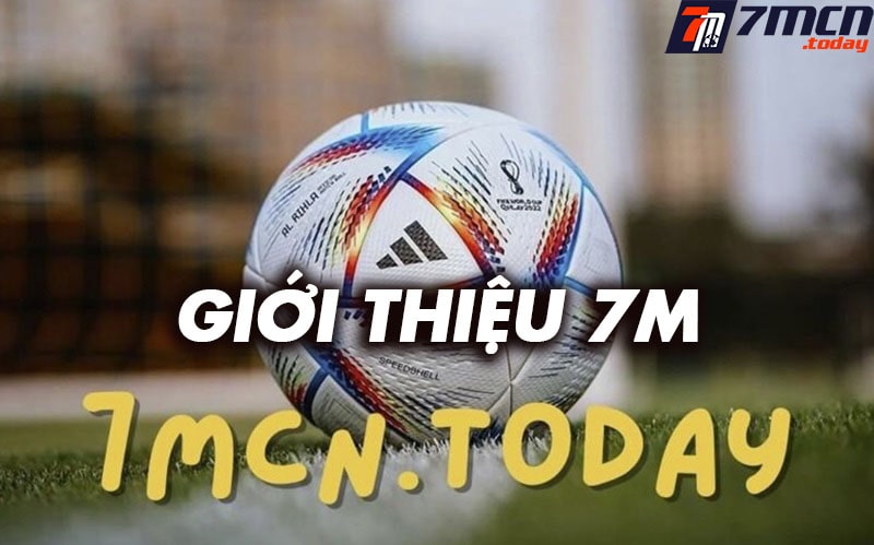 Giới thiệu nelson22.com